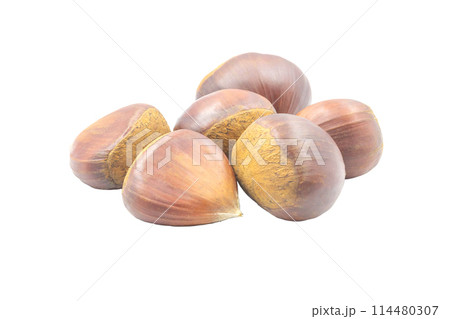 栗【長野県産　小布施栗】影なし 114480307