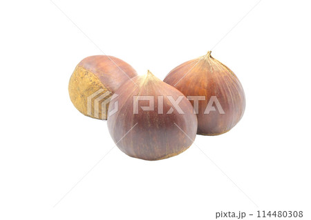 栗【長野県産　小布施栗】影なし 114480308