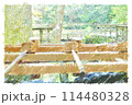 神社に参拝する時の儀式 114480328