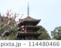 瑠璃光寺五重の塔 114480466