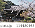 功山寺佛殿と桜 114480468