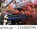 紅葉の功山寺山門 114480586