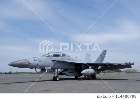 厚木基地に展示されたEA18Gグロウラー電子戦機 厚木基地に展示されたEA18Gグロウラー電子戦機 114480799