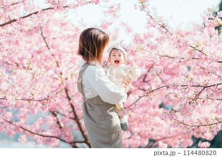 河津桜 親子 笑顔 河津桜 親子 笑顔 114480820