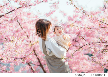 河津桜 親子 笑顔 114480831