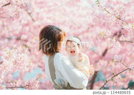 河津桜 親子 笑顔 114480835