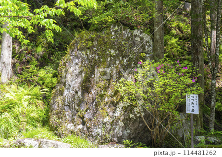 貴船名石　つつみヶ岩 114481262