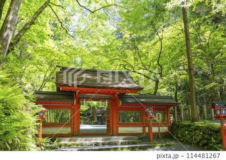 貴船神社奥宮　神門　新緑に包まれた境内 114481267