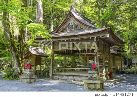 貴船神社奥宮 拝殿・本殿 新緑に包まれた境内 貴船神社奥宮 拝殿・本殿 新緑に包まれた境内 114481271
