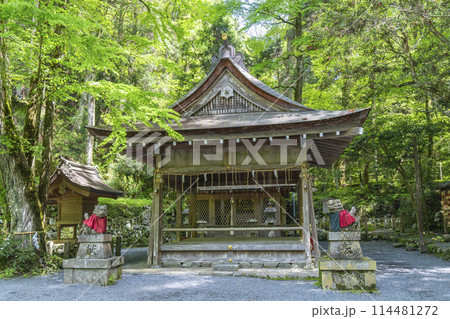 貴船神社奥宮　拝殿・本殿　新緑に包まれた境内 114481272