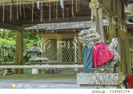 貴船神社奥宮 拝殿・本殿 新緑に包まれた境内 貴船神社奥宮 拝殿・本殿 新緑に包まれた境内 114481274