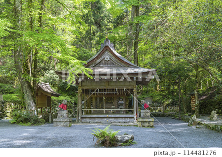 貴船神社奥宮 拝殿・本殿 新緑に包まれた境内 貴船神社奥宮 拝殿・本殿 新緑に包まれた境内 114481276