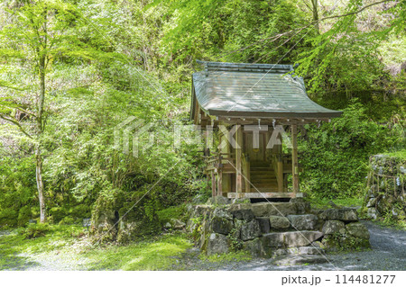 貴船神社奥宮　吸葛社　新緑に包まれた境内 114481277
