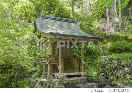 貴船神社奥宮　吸葛社　新緑に包まれた境内 114481279