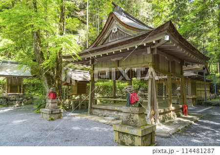 貴船神社奥宮 拝殿・本殿 新緑に包まれた境内 貴船神社奥宮 拝殿・本殿 新緑に包まれた境内 114481287