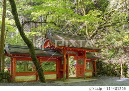 貴船神社奥宮 神門 新緑に包まれた境内 貴船神社奥宮 神門 新緑に包まれた境内 114481296