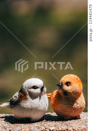 シマエナガとスズメのいる風景の写真素材 [114481479] - PIXTA