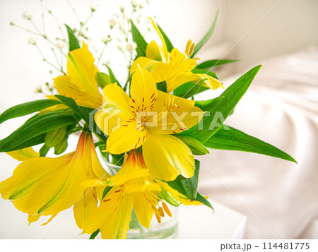 インテリアグリーン　フラワーブーケ 114481775