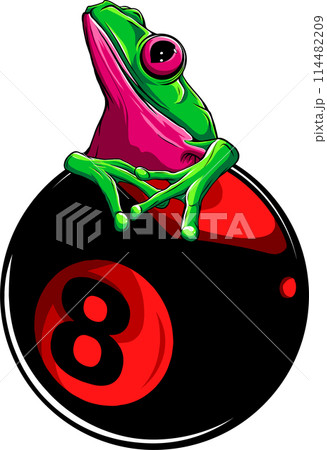 vector illustration of frog on white background 114482209