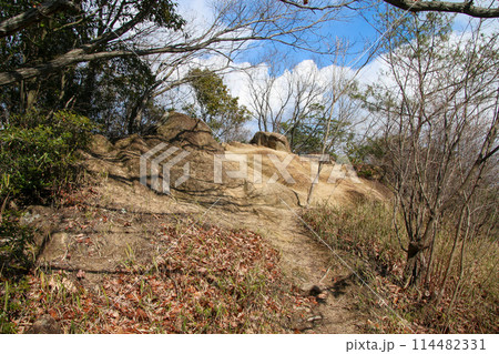 兵庫県立甲山森林公園 114482331