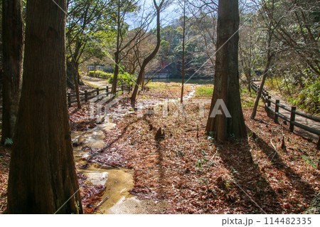 兵庫県立甲山森林公園 兵庫県立甲山森林公園 114482335
