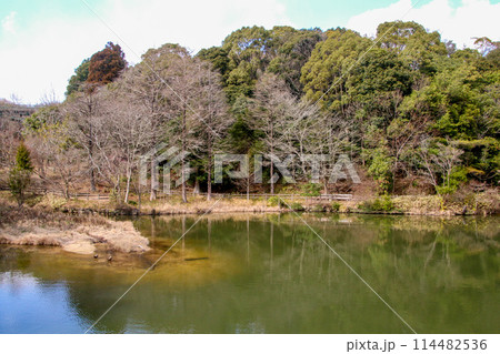 兵庫県立甲山森林公園 114482536