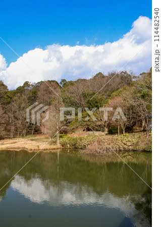 兵庫県立甲山森林公園 兵庫県立甲山森林公園 114482540