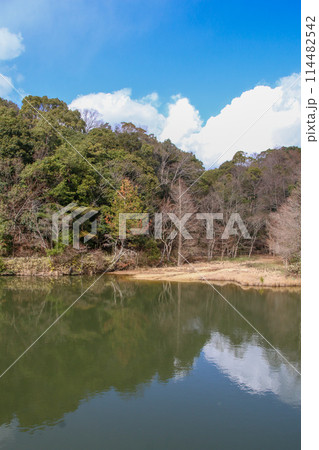 兵庫県立甲山森林公園 114482542