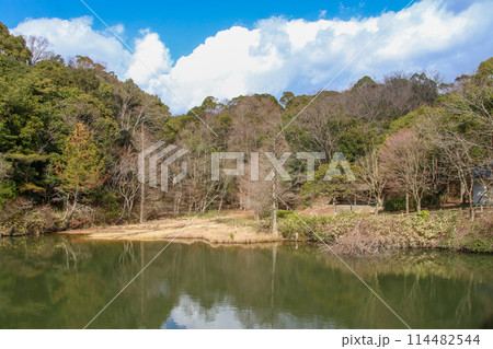 兵庫県立甲山森林公園 114482544