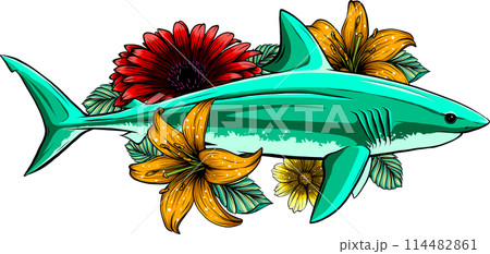 Shark with flower decorative elements design vector illustration Shark with flower decorative elements design vector illustration 114482861