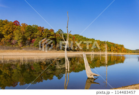 Sunny view of the beautiful fall color of Hobbs State Park-Conservation Area 114483457