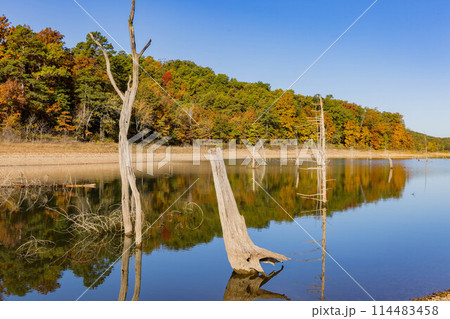 Sunny view of the beautiful fall color of Hobbs State Park-Conservation Area 114483458