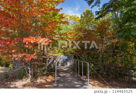 Sunny view of the beautiful fall color of Hobbs State Park-Conservation Area Sunny view of the beautiful fall color of Hobbs State Park-Conservation Area 114483525