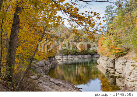 Sunny view of the beautiful fall color of Hobbs State Park-Conservation Area Sunny view of the beautiful fall color of Hobbs State Park-Conservation Area 114483598