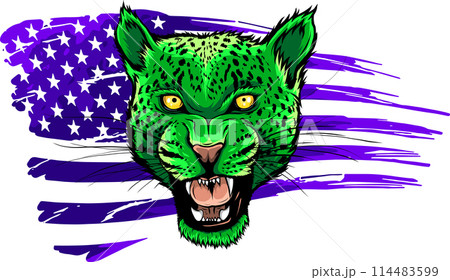 vector illustration of Roaring leopard head design vector illustration of Roaring leopard head design 114483599
