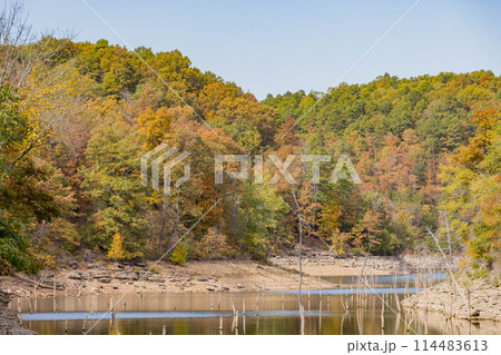 Sunny view of the beautiful fall color of Hobbs State Park-Conservation Area 114483613