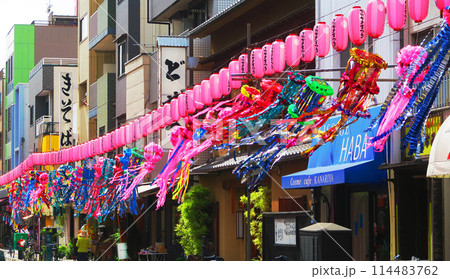 浅草かっぱ橋本通り・下町七夕まつりの風景 114483762