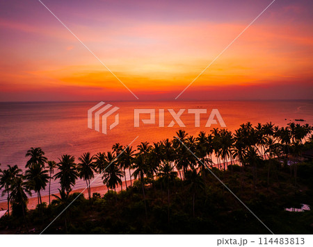 beautiful outdoor view with coconut palm tree on 114483813