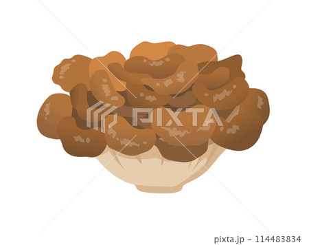 舞茸のベクターイラスト 114483834