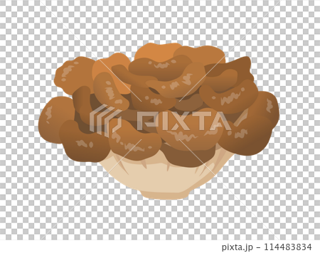 舞茸のベクターイラスト 114483834