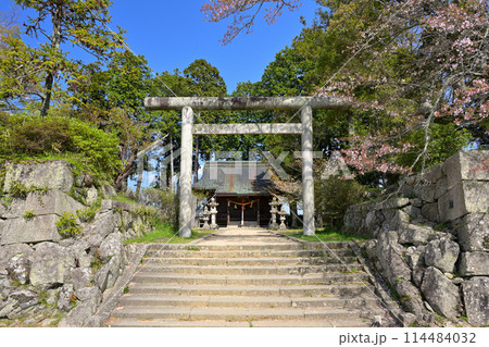 篠山城 青山神社(兵庫県丹波篠山市) 篠山城 青山神社(兵庫県丹波篠山市) 114484032