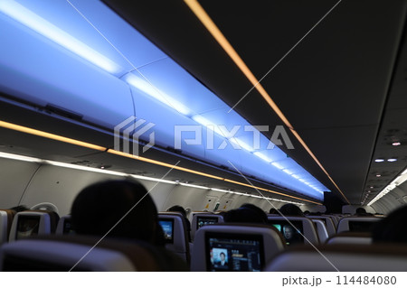 飛行機 航空機 ひこうき 114484080