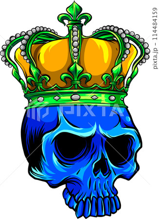vector illustration of skull with crow on white background. digital draw 114484159