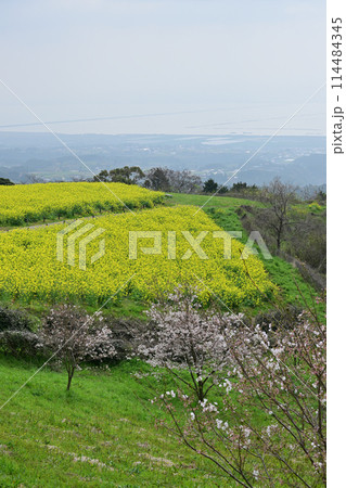 白木峰高原 114484345