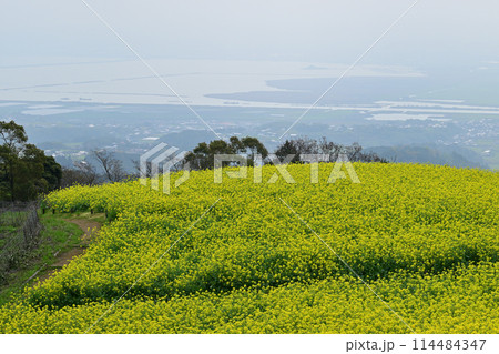 白木峰高原 114484347