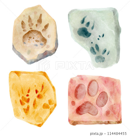 Dinosaur footprint in rock . Watercolor paint design . Illustration . 114484455