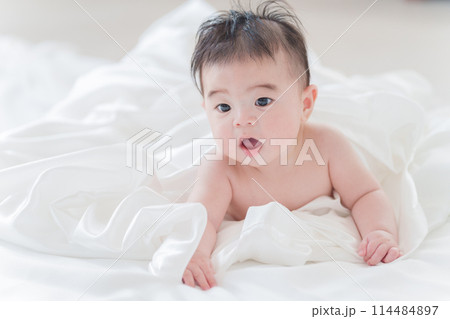 裸の赤ちゃん・0歳 裸の赤ちゃん・0歳 114484897