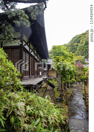鎌倉245　光触寺3　本堂 114484954