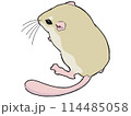 後ろを向いたマカロニマウス 114485058
