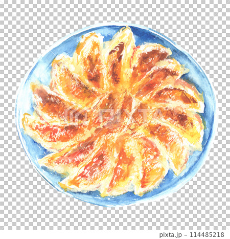 水彩で描いた焼き餃子のイラスト 水彩で描いた焼き餃子のイラスト 114485218